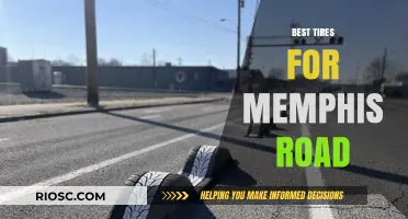 Top-Rated Tires for Memphis Roads: Durability, Performance, and Comfort for Every Drive