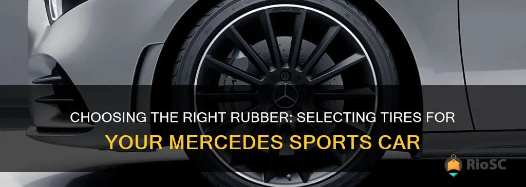 best tires for mercedes sports cars