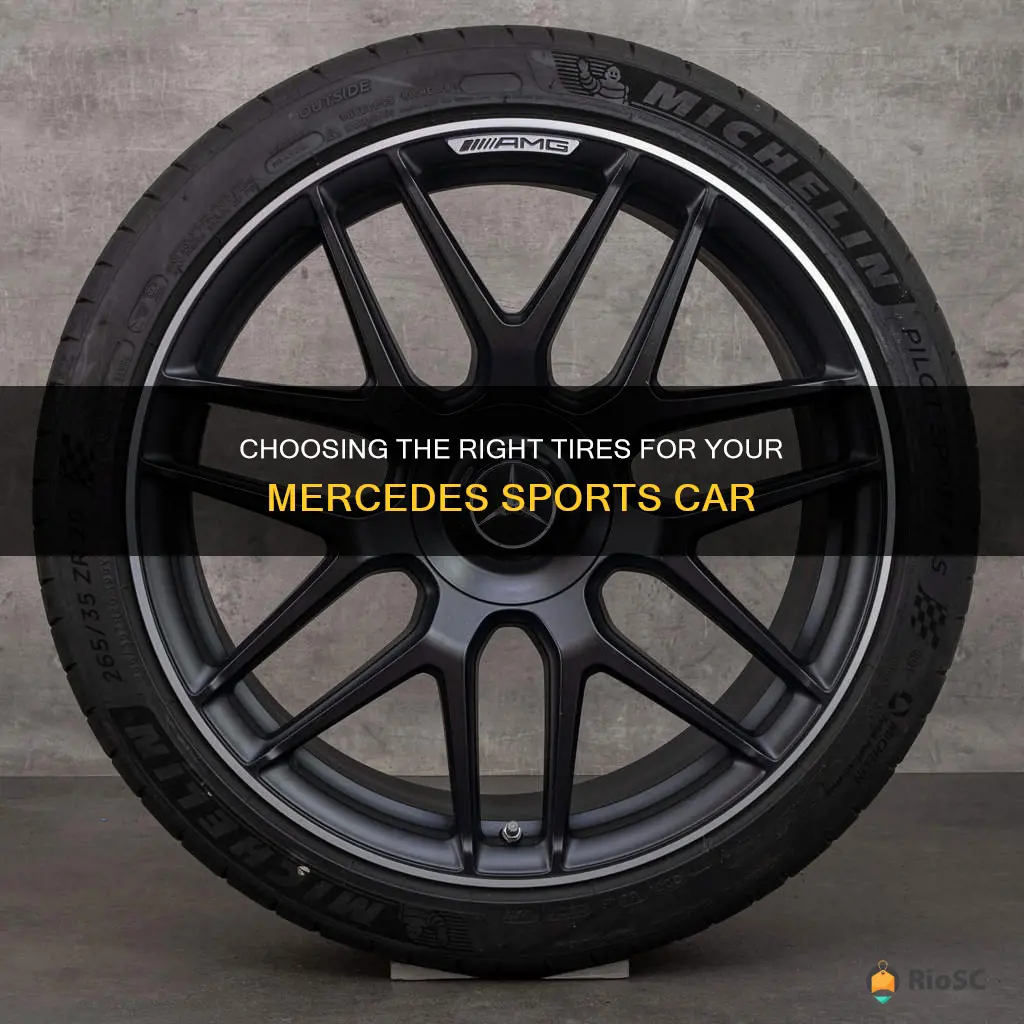 best tires for mercedes sports cars