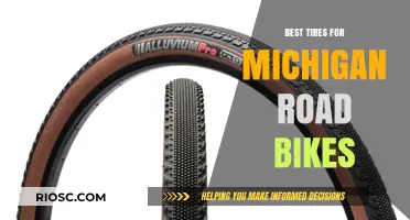 Top-Rated Tires for Michigan Road Biking: Navigate Rough Roads and Seasonal Challenges with Ease