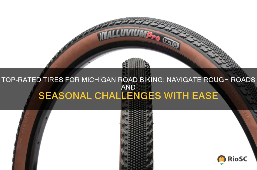 best tires for michigan road bikes