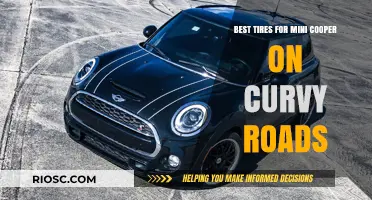 Top Tire Picks for Mini Cooper: Mastering Curvy Roads with Precision and Grip