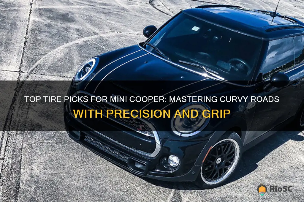 best tires for mini cooper on curvy roads