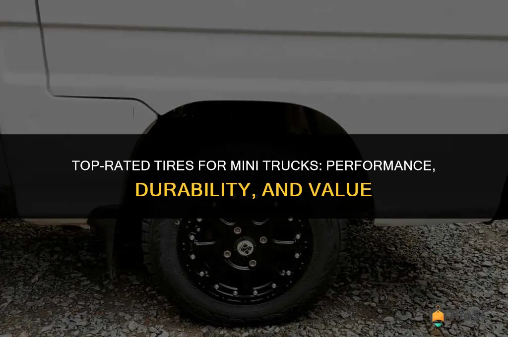 best tires for mini truck