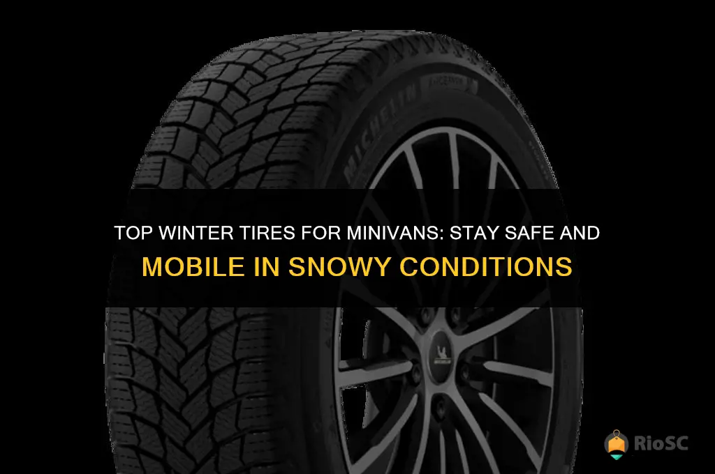 best tires for minivan in snow