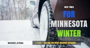 Conquering Minnesota Winters: Top Tire Picks for Unmatched Traction and Safety