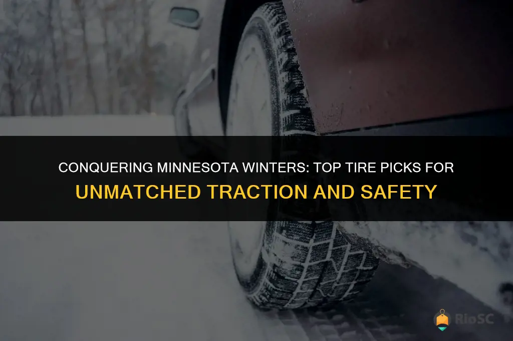 best tires for minnesota winter