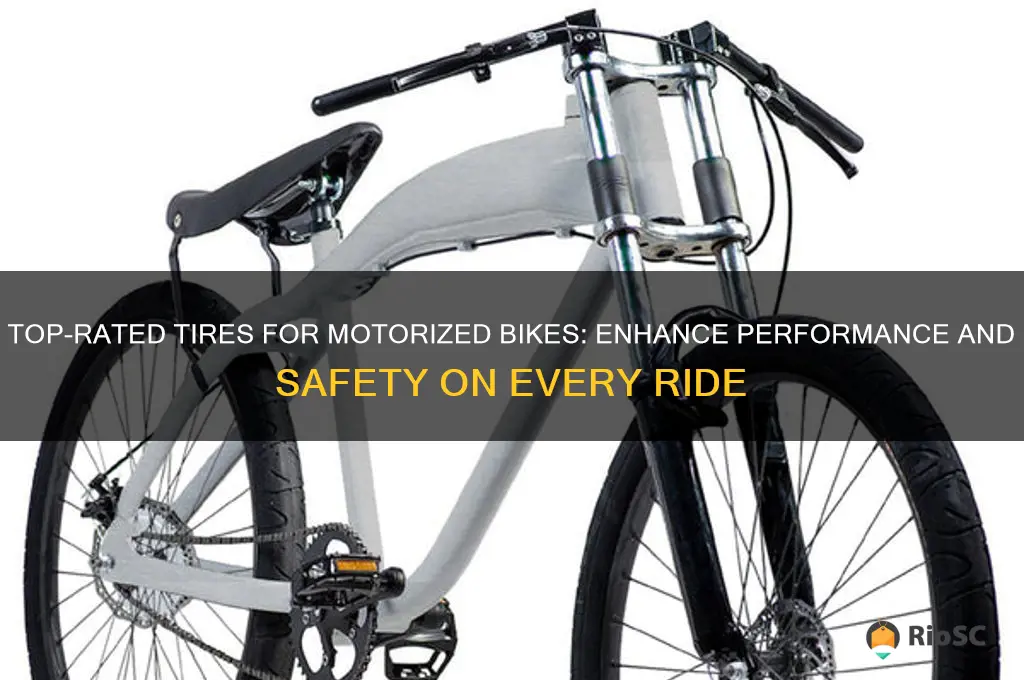 best tires for motorizwd bike