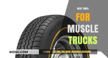 Top-Performing Tires to Unleash the Power of Your Muscle Truck