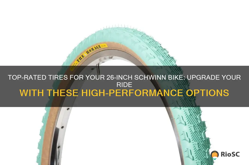 best tires for my 26 in schwinn bike