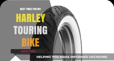 Top-Rated Tires for Harley Touring Bikes: Enhance Your Ride with Performance and Durability