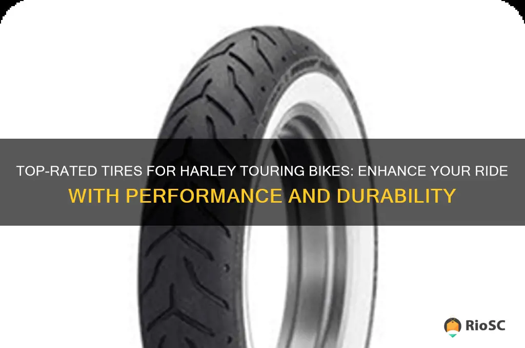best tires for my harley touring bike