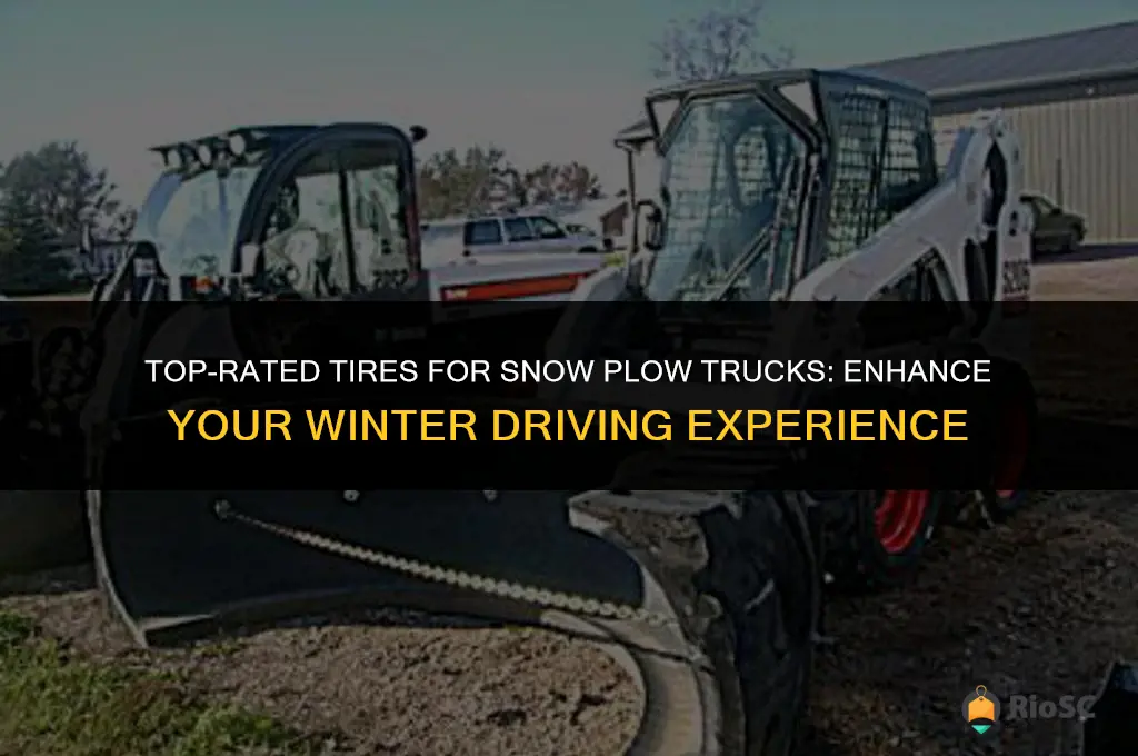 best tires for my snow plow truck