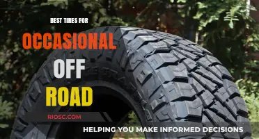 Top Tire Picks for Light Off-Roading Adventures