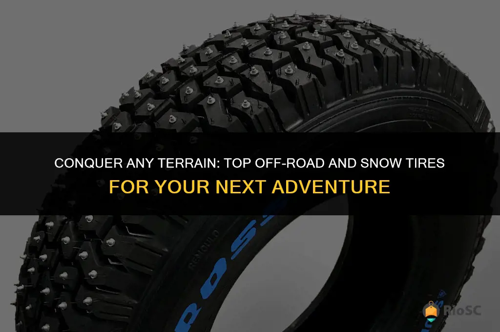best tires for offroad and snow