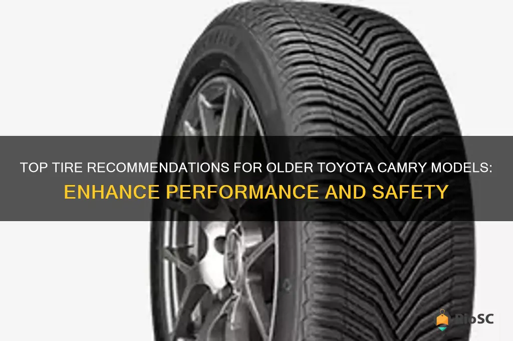 best tires for older toyota camtry