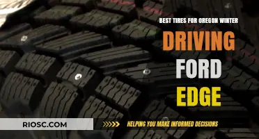 Top Winter Tire Picks for Safe Driving in Oregon: Ford Edge Edition