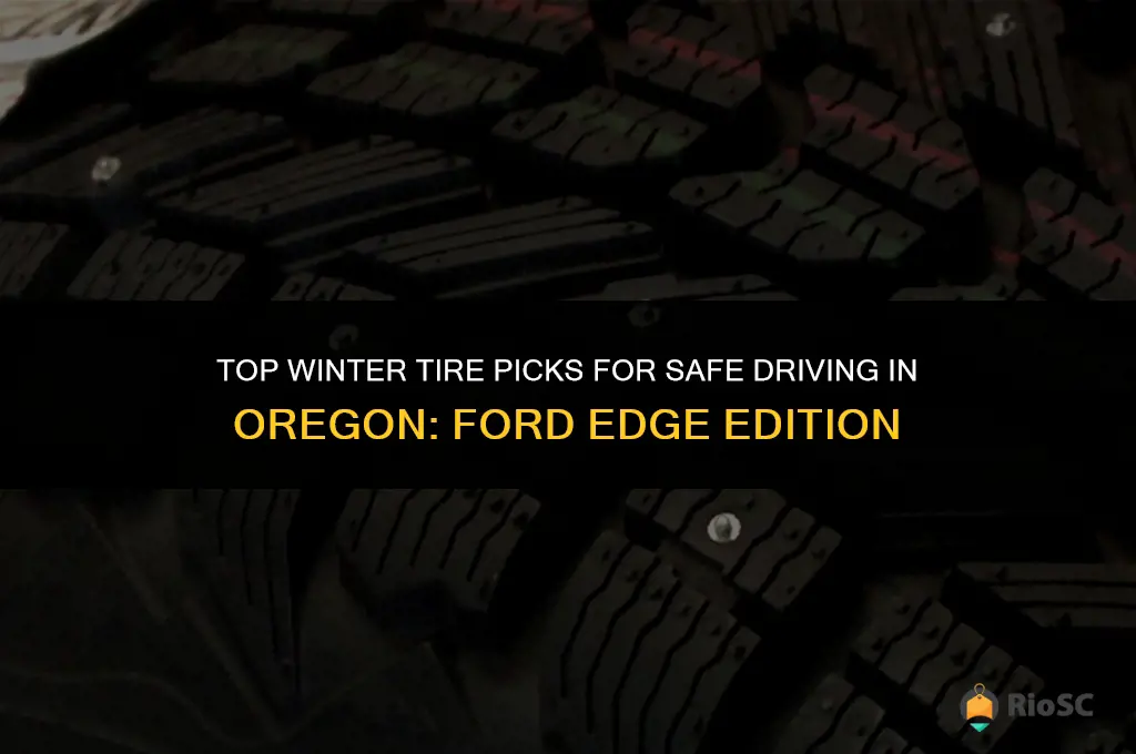 best tires for oregon winter driving ford edge