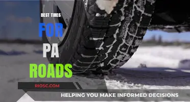 Top-Rated Tires for Pennsylvania's Diverse Road Conditions: Durability, Performance, and Safety