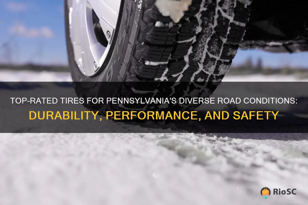 best tires for pa roads