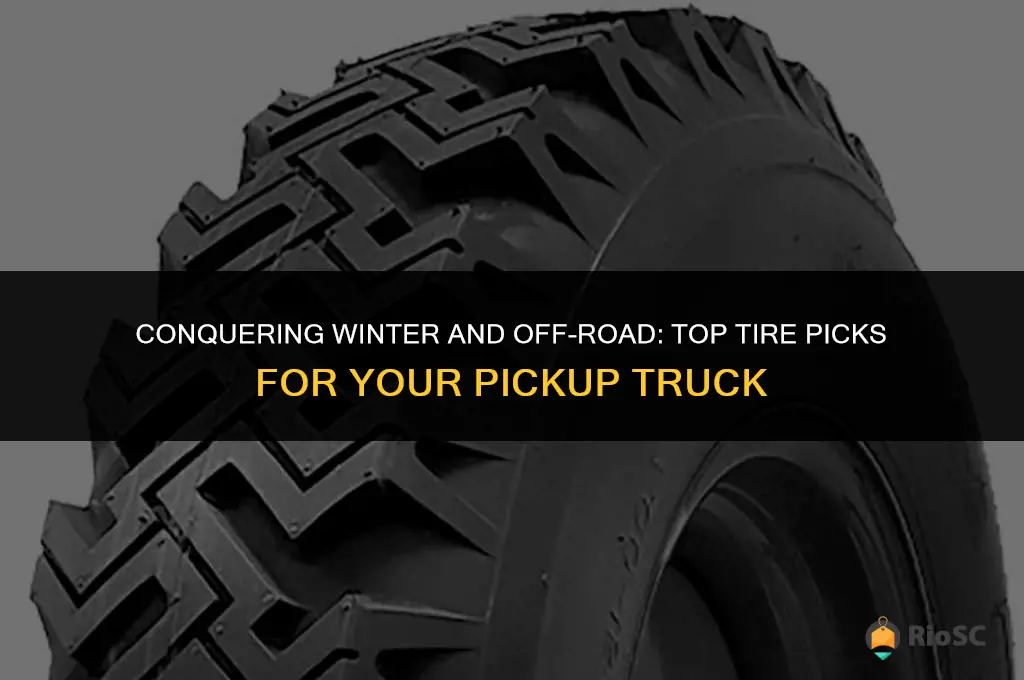 best tires for pick up truck in snow and dirt