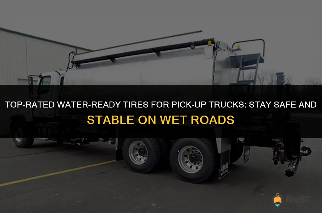 best tires for pick up truck in water