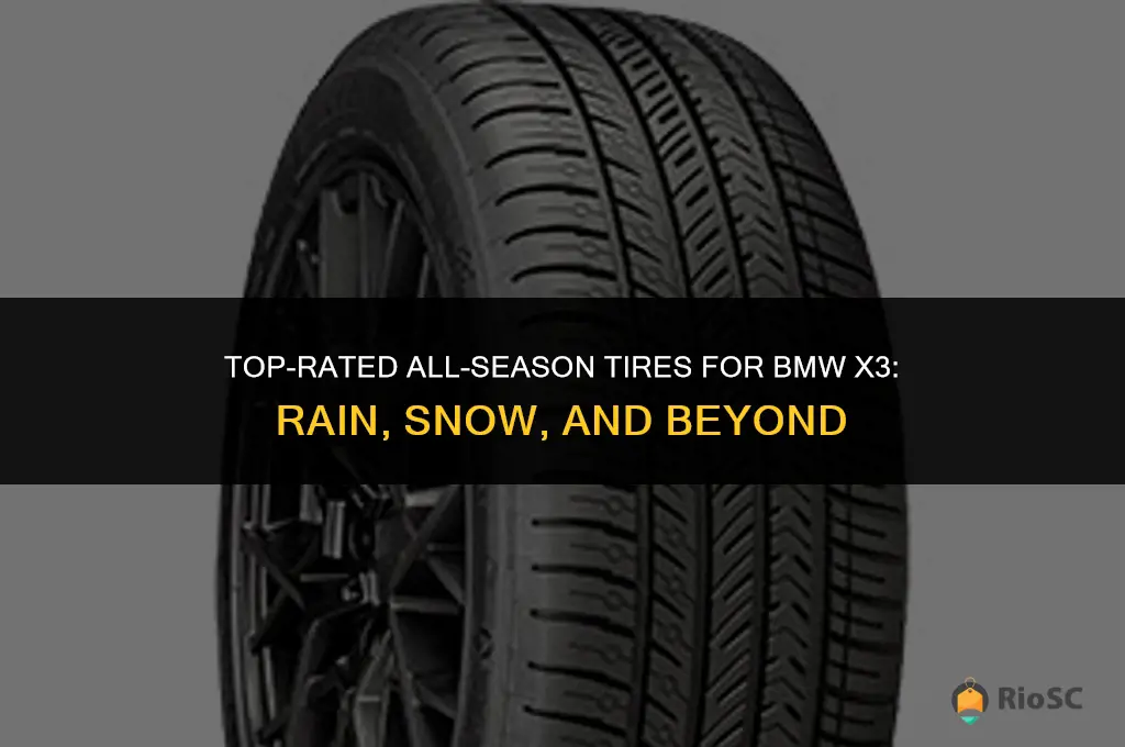 best tires for rain and snow for bmw x3