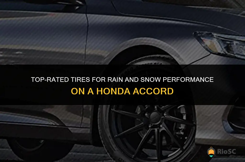 best tires for rain and snow on a honda accord