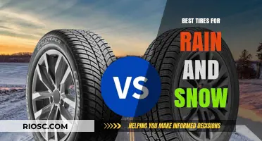 Conquering Wet and Snowy Roads: A Guide to the Best Tires for All-Season Performance