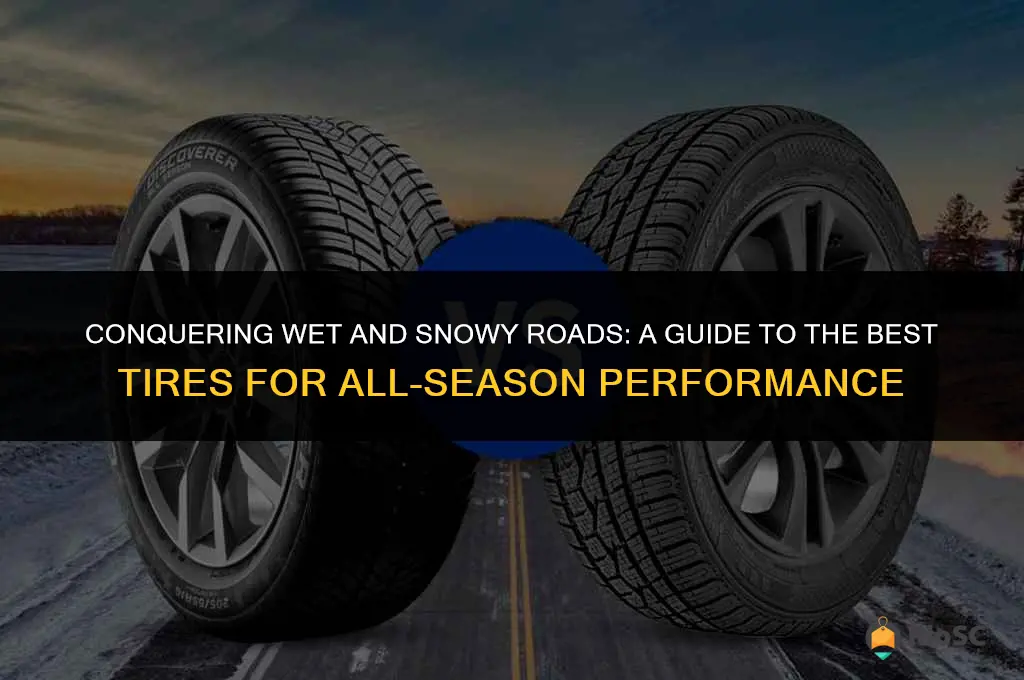 best tires for rain and snow
