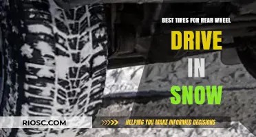 Top Picks for Rear Wheel Drive Tires in Snowy Conditions