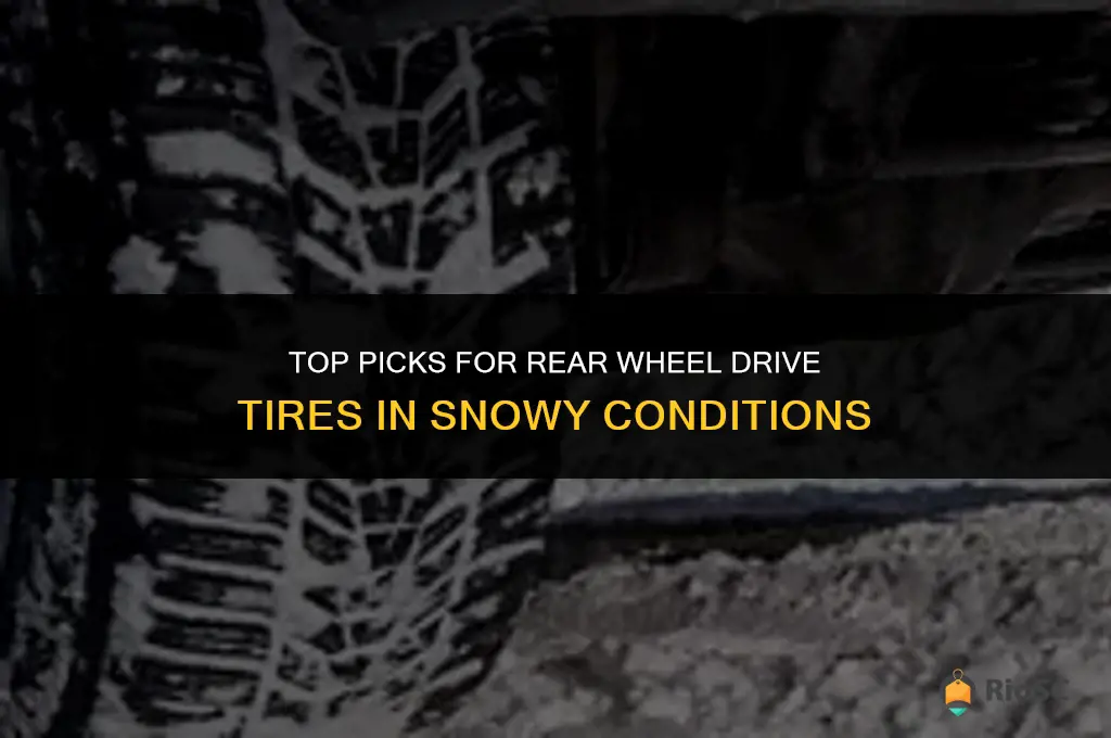 best tires for rear wheel drive in snow