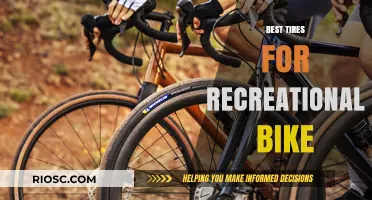 Top-Rated Tires for Recreational Biking: Enhance Your Ride with These High-Performance Options