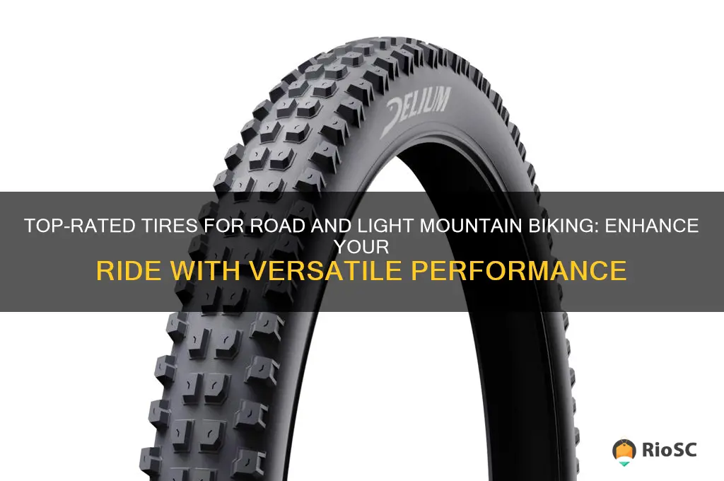 best tires for road light mountain bike
