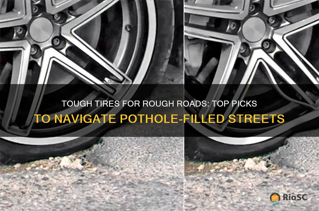 best tires for roads with potholes