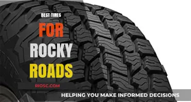 Tough Terrain, Smooth Ride: Top Tires for Navigating Rocky Roads