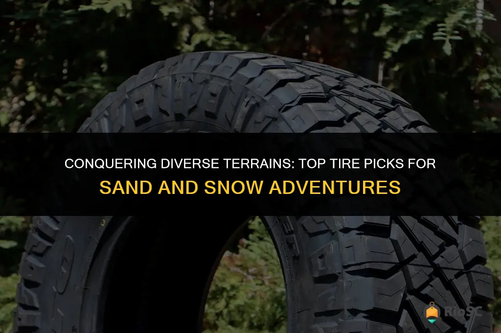 best tires for sand and snow