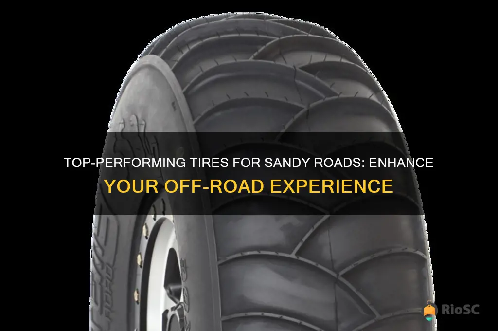 best tires for sandy roads