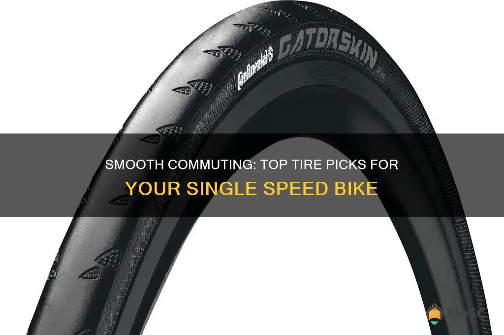 best tires for single speed bike commuting