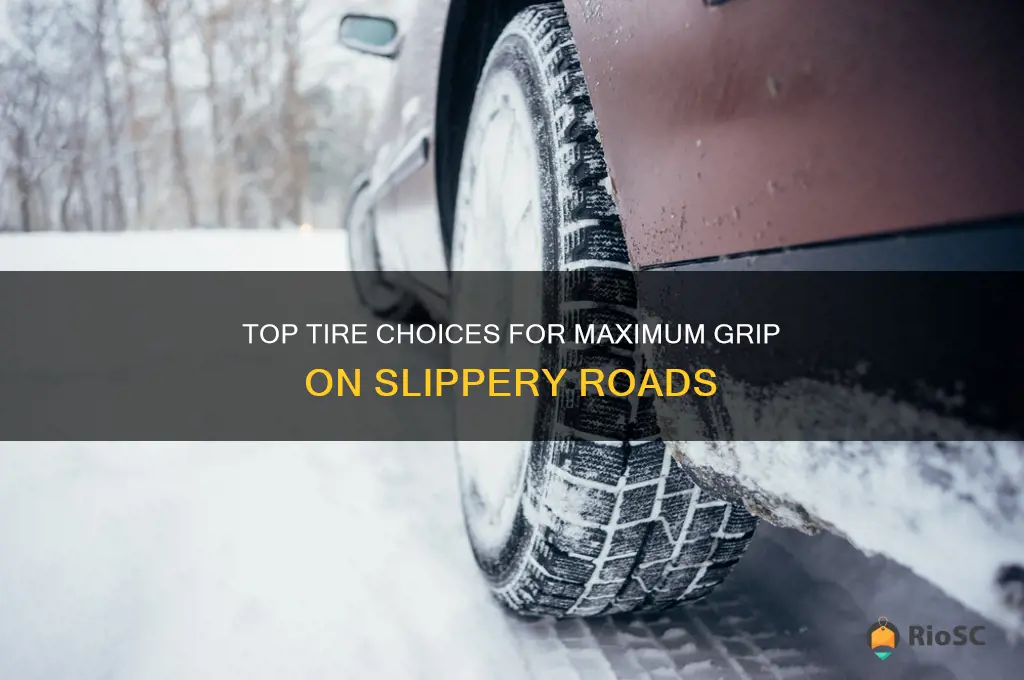 best tires for slippery roads