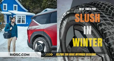 Conquering Slush: Top Winter Tire Picks for Safe and Smooth Driving