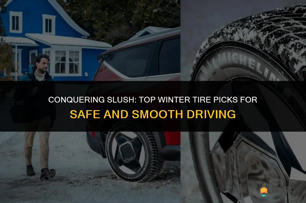 best tires for slush in winter