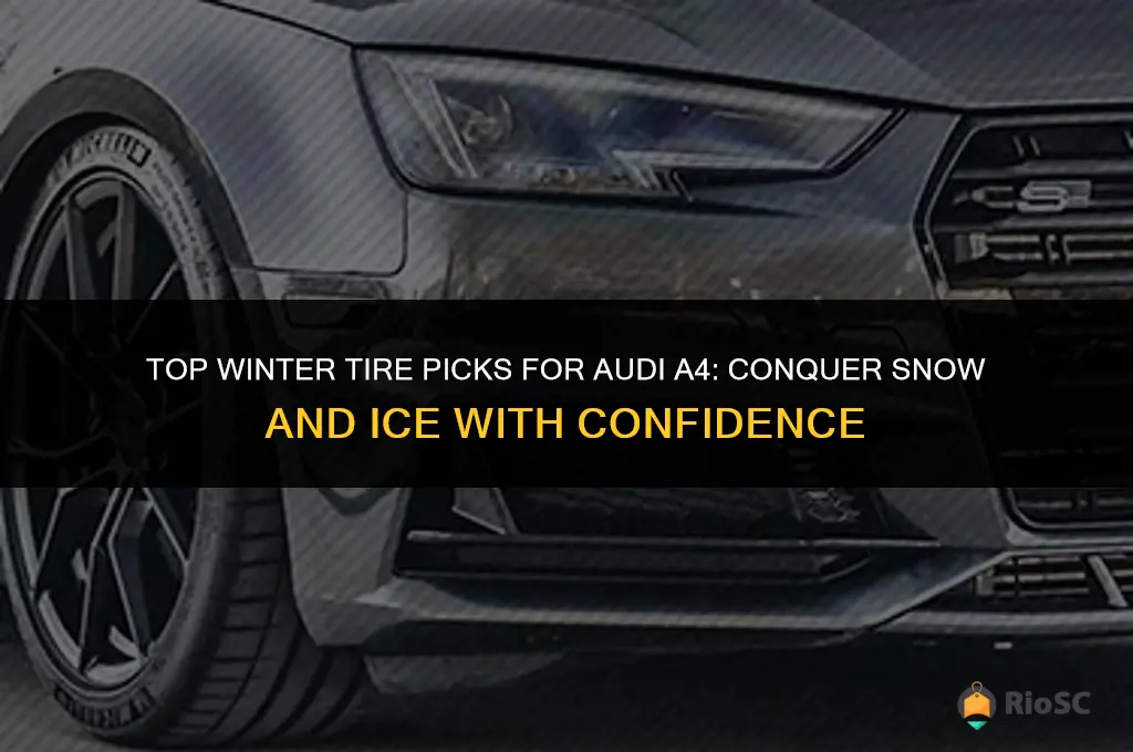 best tires for snow & ice for audi a4
