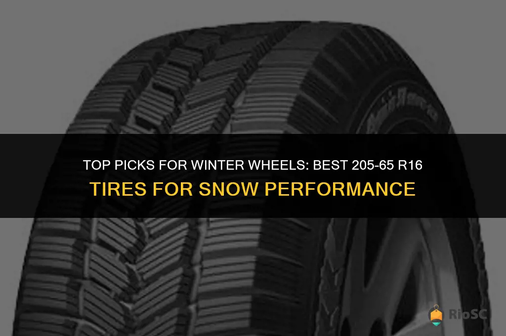 best tires for snow 205-65 r16