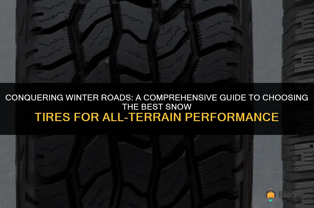 best tires for snow all terrain or snow tires