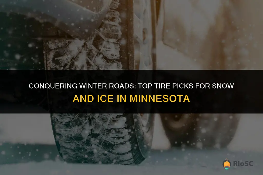 best tires for snow and ice in mn