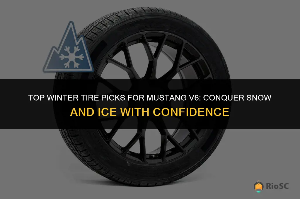 best tires for snow and ice on mustang v6