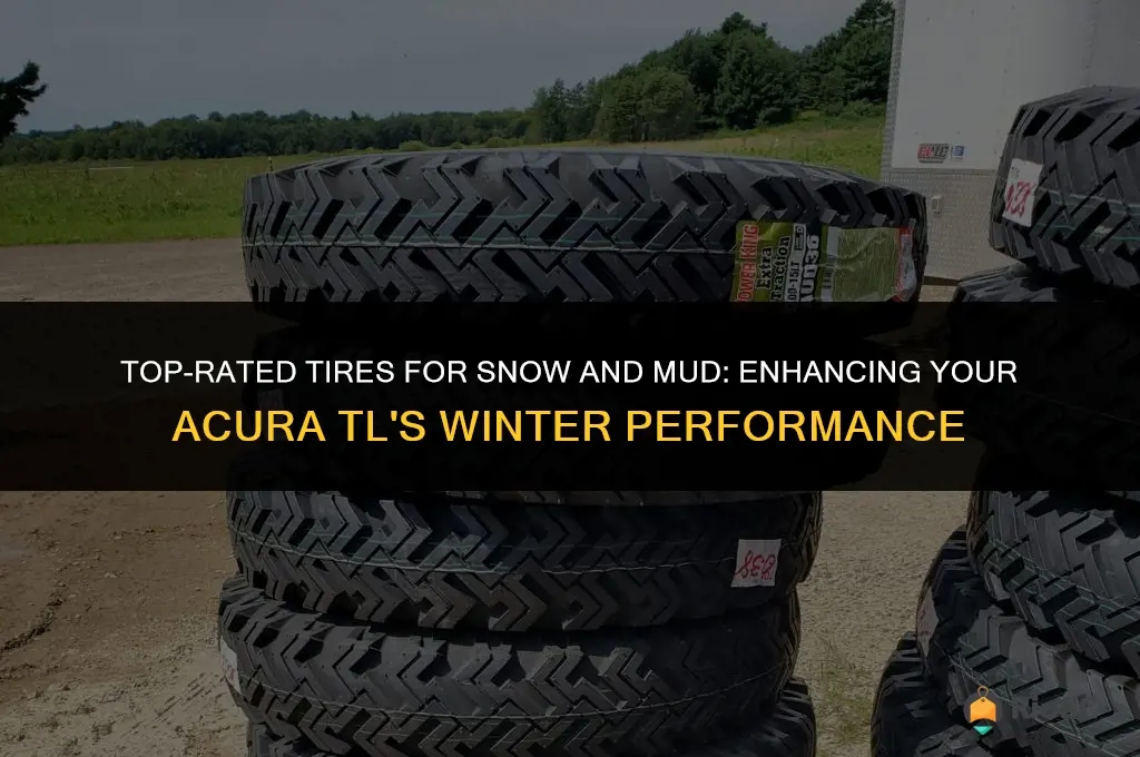 best tires for snow and mud for acura tl