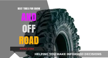 Conquering Winter Terrains: Top-Rated Tires for Snow and Off-Road Adventures