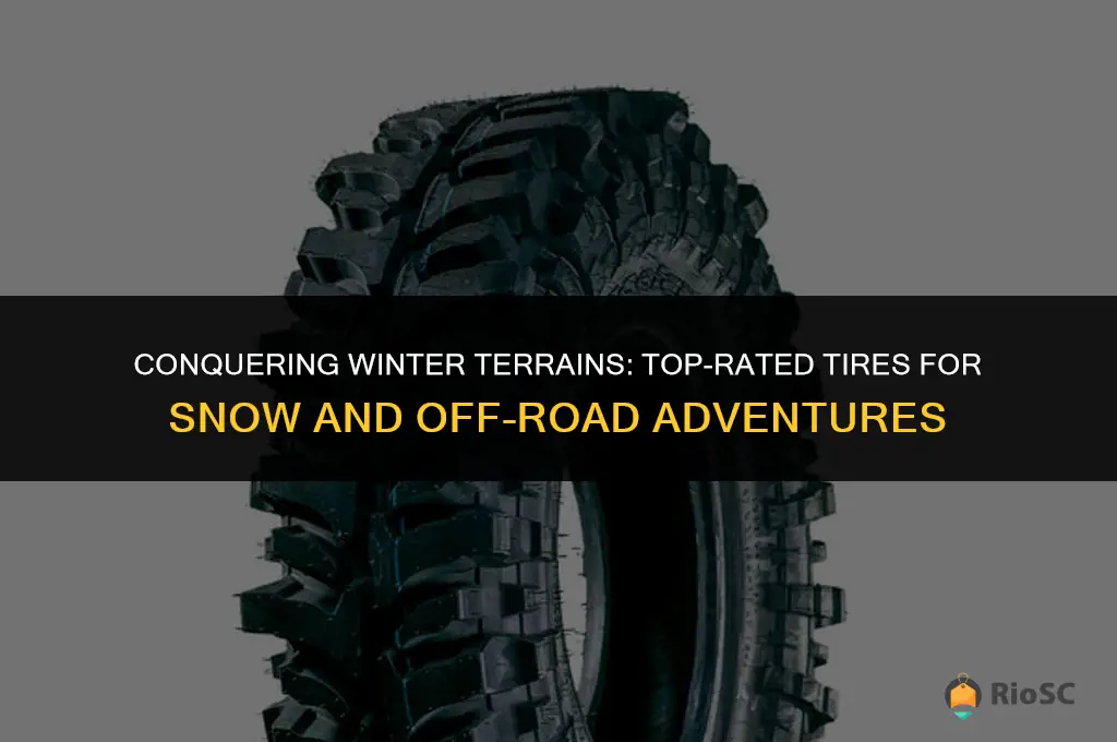 best tires for snow and off road